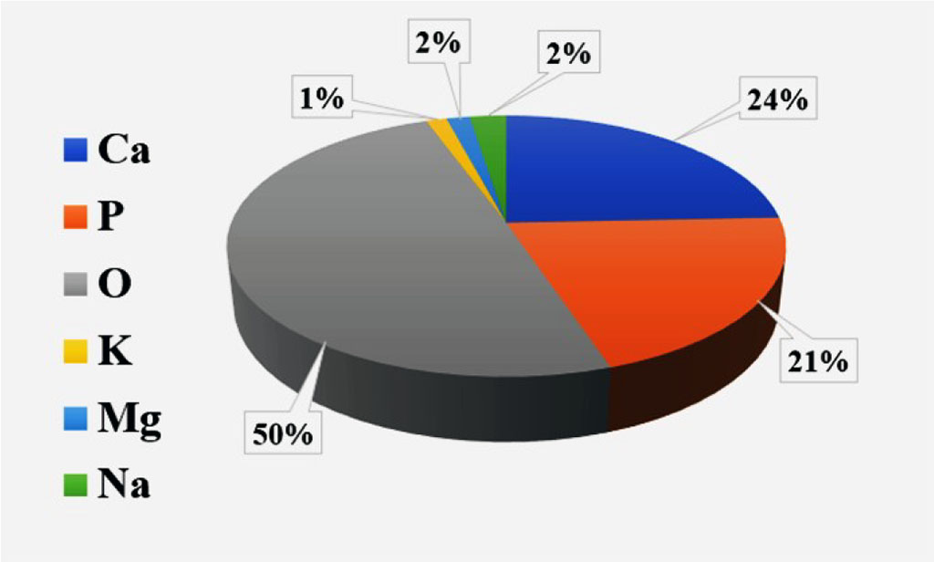 Fig. 3. The average percentage of chemical elements in the studied samples.