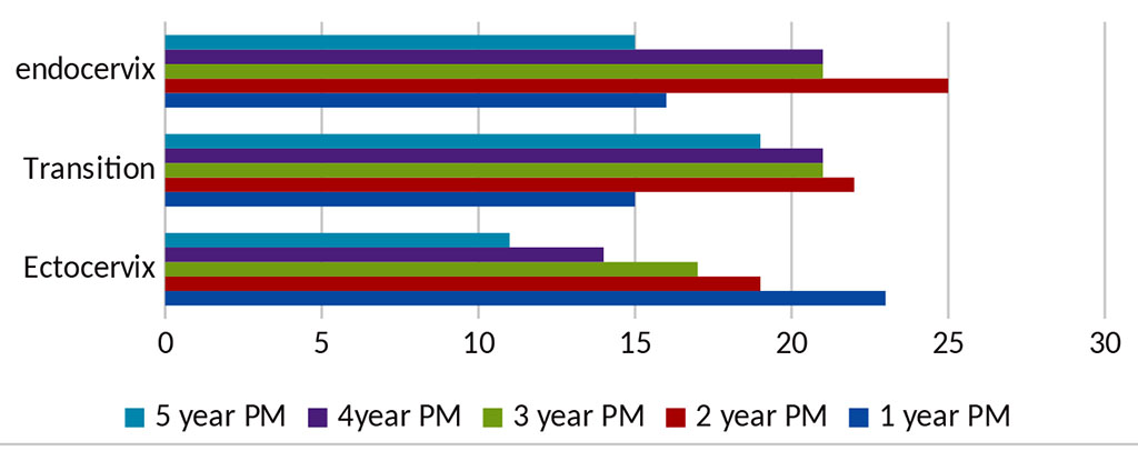 Figure 4. Quantitative characterization of estrogen-positive cells in cervix mucous membrane in the postmenopausal women in normal conditions