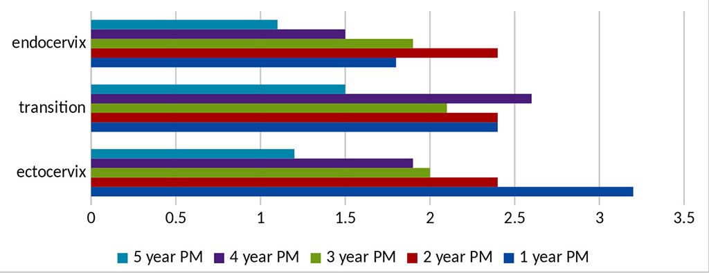 Figure 7. Diagram of proliferative activity in the MOS of postmenopausal women in the norm.