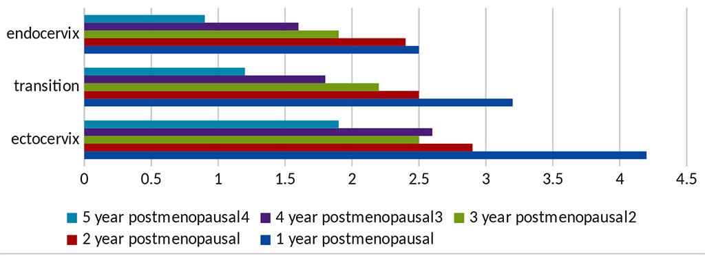 Figure 8. Diagram of proliferative activity in pathology in the mucous membrane of the cervix of postmenopausal women.